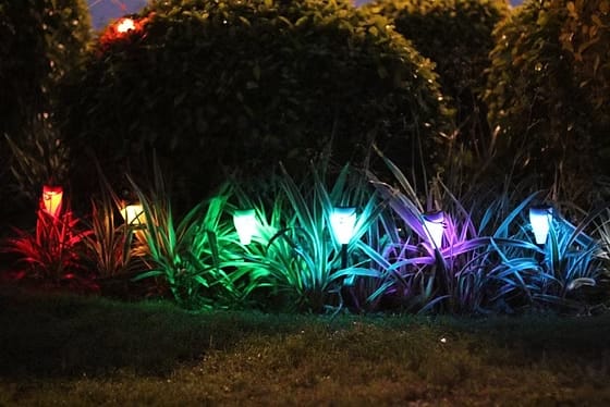 colorful light