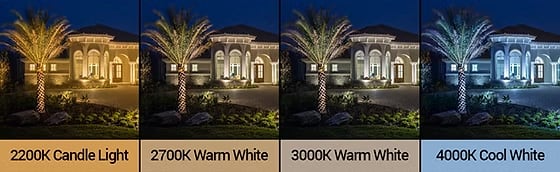 light temperature