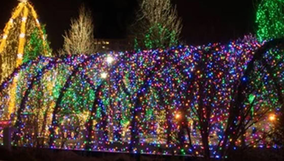 lights